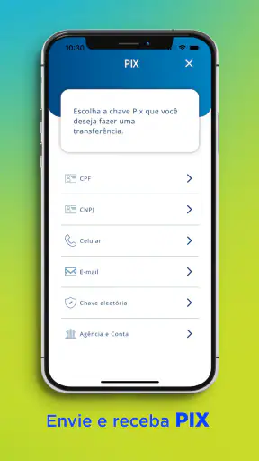 BrasilCard Digital screenshot