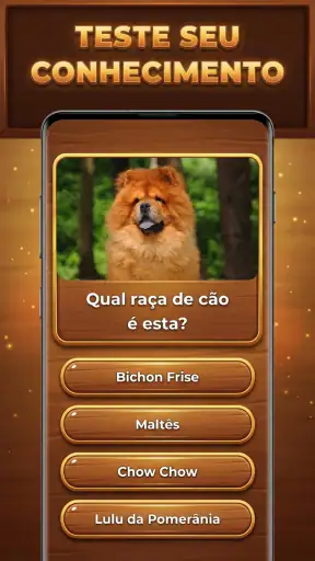 Bum de Trivia: Trivia Blocks screenshot