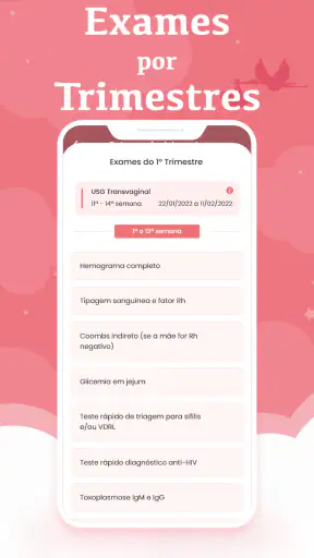 Calculadora Gestacional Semana screenshot