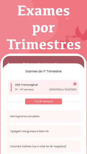 Calculadora Gestacional Semana screenshot