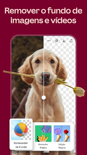 Canva: editor de fotos e vídeo screenshot