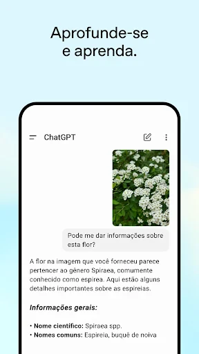 ChatGPT screenshot