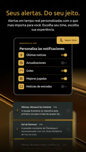 CONMEBOL Libertadores screenshot