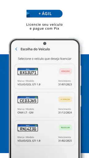 Detran-SP screenshot