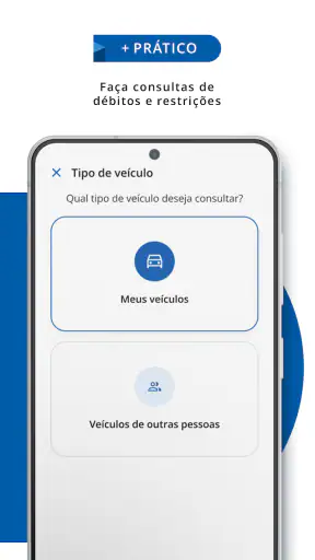 Detran-SP screenshot