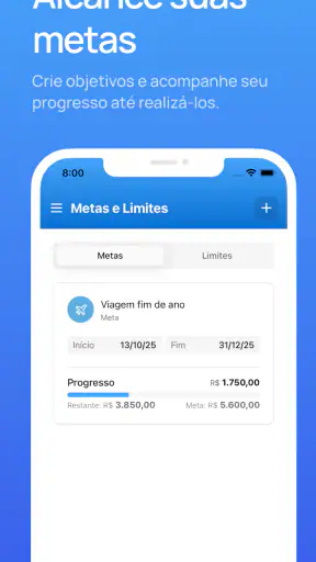 Dinzo: Finanças Pessoais screenshot