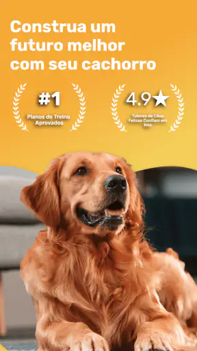 Dog Care: Comunidades por Raça screenshot