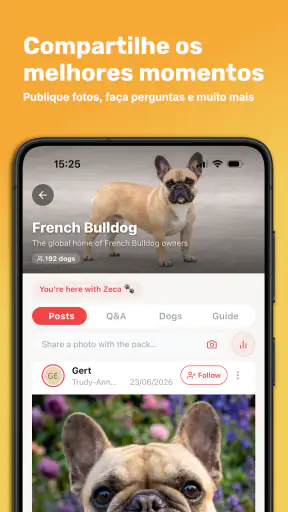 Dog Care: Comunidades por Raça screenshot