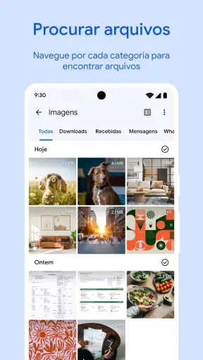 Files do Google screenshot