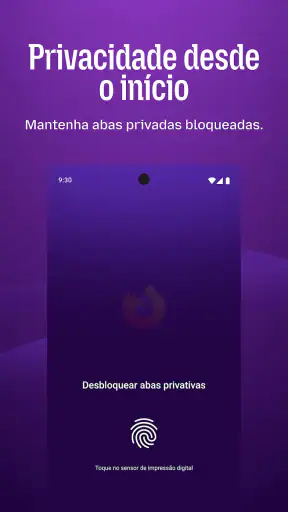 Firefox browser privado screenshot
