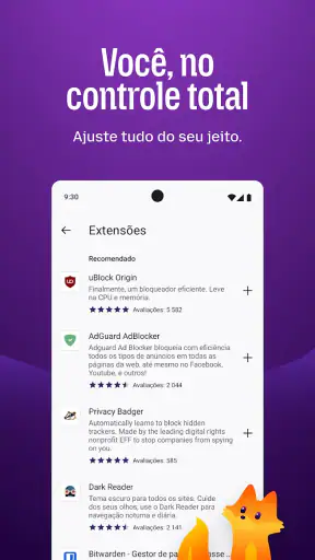 Firefox browser privado screenshot