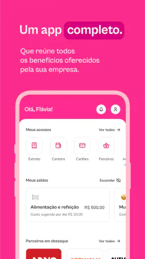 Flash | Benefícios e Despesas screenshot