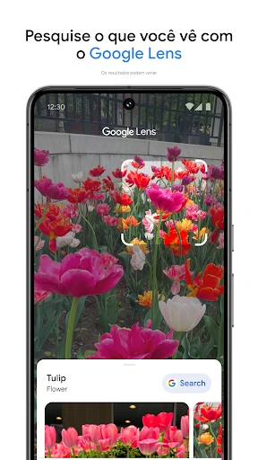 Google Fotos screenshot