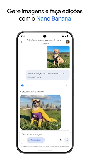 Google Gemini screenshot