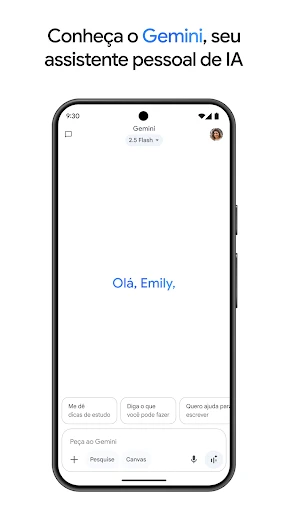 Google Gemini screenshot