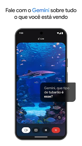 Google Gemini screenshot