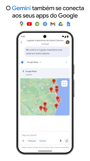 Google Gemini screenshot