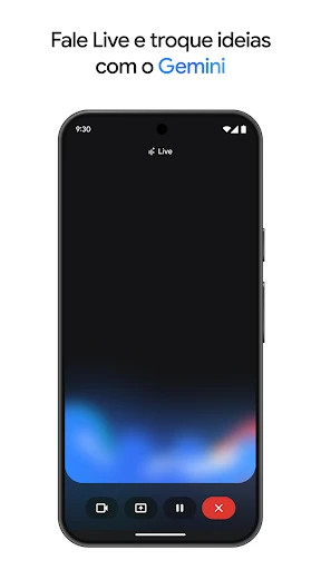 Google Gemini screenshot
