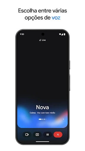 Google Gemini screenshot