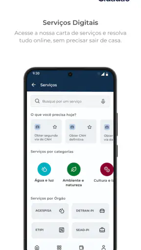 Gov.pi Cidadão screenshot