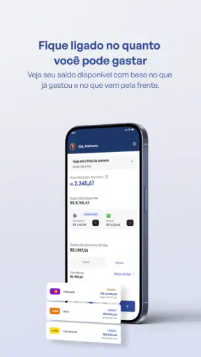 iDinheiro: Finanças Pessoais screenshot