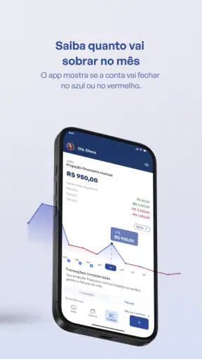 iDinheiro: Finanças Pessoais screenshot