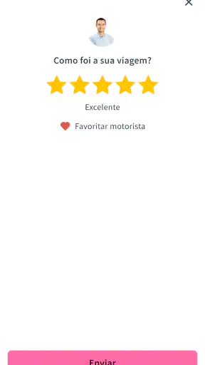 Lady Driver screenshot