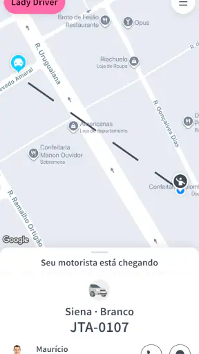 Lady Driver screenshot