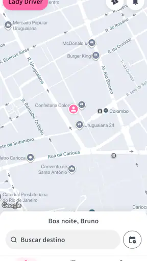 Lady Driver screenshot