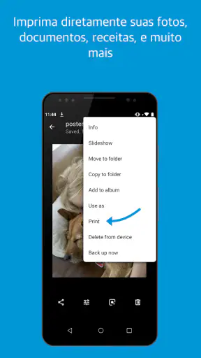 manutenção da impressora screenshot