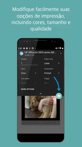 manutenção da impressora screenshot