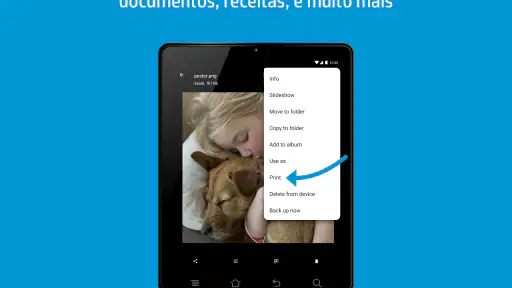 manutenção da impressora screenshot