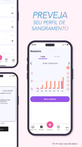 MeuDIU screenshot