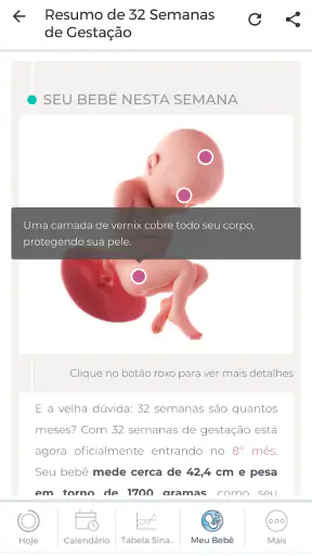 Minha Gravidez por Paula screenshot