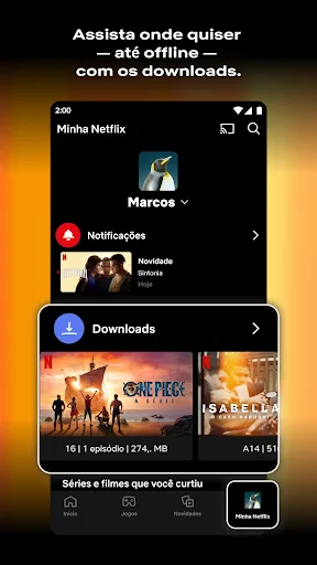 Netflix screenshot