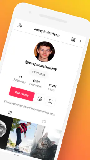 Obter Seguidores & Curtidas screenshot