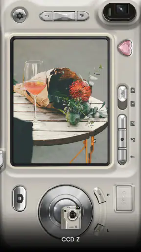 OldRoll - Vintage Film Camera screenshot