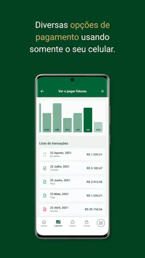 Palmeiras Pay screenshot