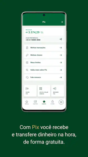 Palmeiras Pay screenshot
