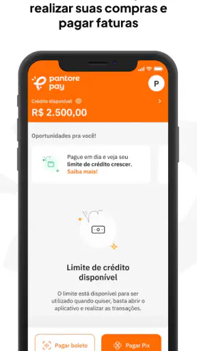 Pantore Pay screenshot