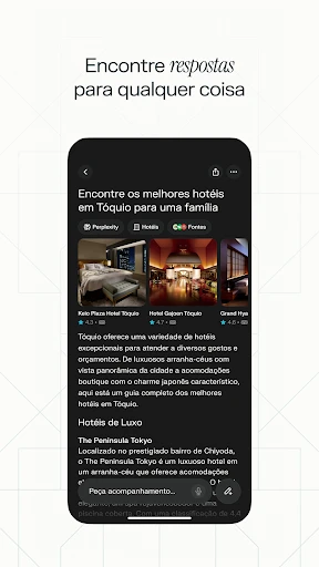 Perplexity - Pode Perguntar screenshot