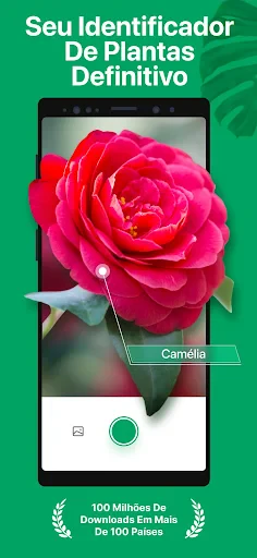 PictureThis Identificar Planta screenshot