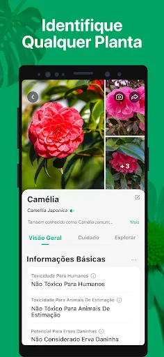 PictureThis Identificar Planta screenshot