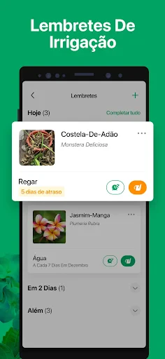 PictureThis Identificar Planta screenshot