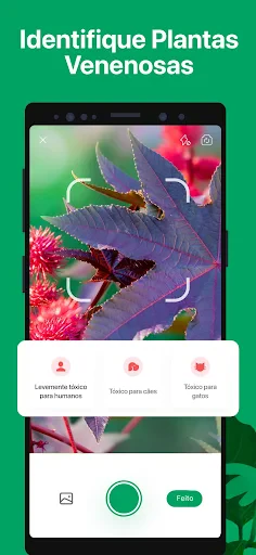 PictureThis Identificar Planta screenshot