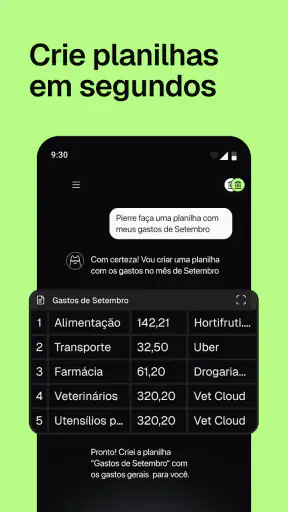 Pierre: Controle de gastos IA screenshot