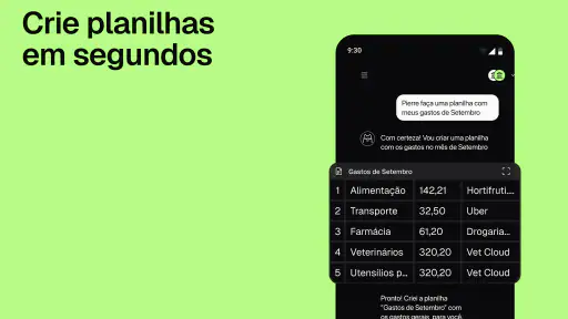 Pierre: Controle de gastos IA screenshot