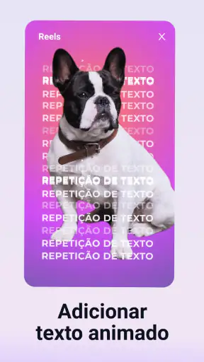 Pinreel - Criar vídeo animados screenshot