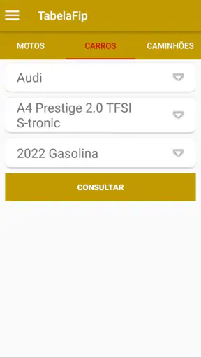 PlacaFip - Consulta placa screenshot