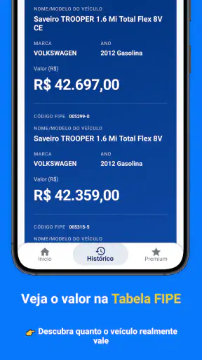 PlacaInfo: Consulta Placa screenshot